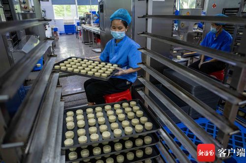 中秋月餅飄香忙 海口食品廠開足馬力備戰佳節