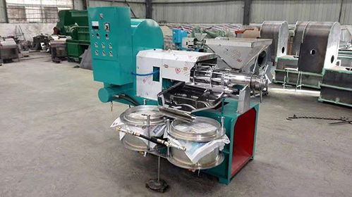 技術創(chuàng)新驅動產(chǎn)業(yè)升級 鵬遠機械制造廠新型亞麻榨油機與水文儀器的協(xié)同發(fā)展